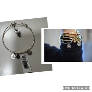 NWT Alex & Ani. Silver color metal bracelet. Swan